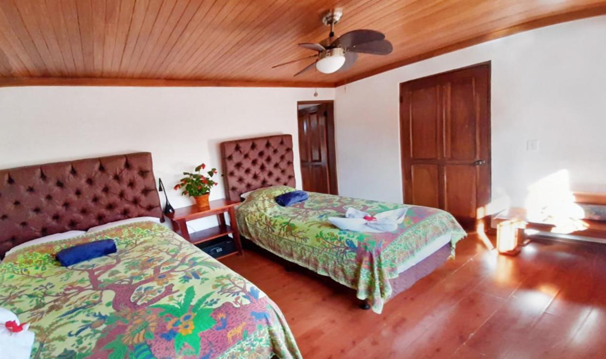 Luna Inn B&B Ciudad Cariari Екстериор снимка
